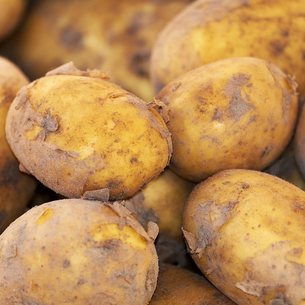 Produits de saison